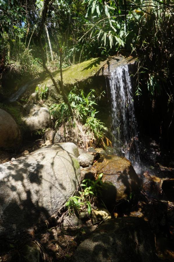 كوكورنا Ecofinca Fuente Alegre المظهر الخارجي الصورة