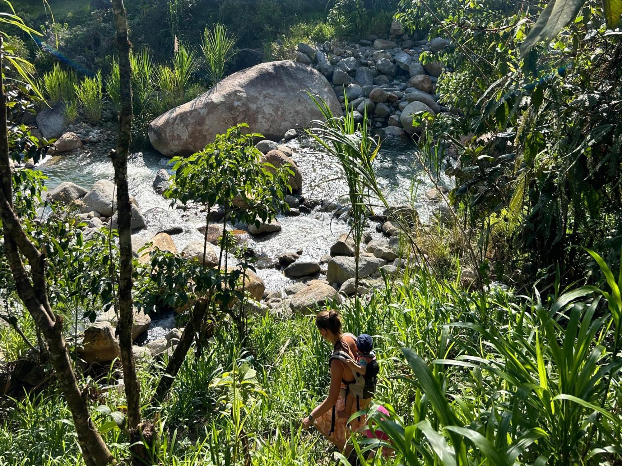 كوكورنا Ecofinca Fuente Alegre المظهر الخارجي الصورة